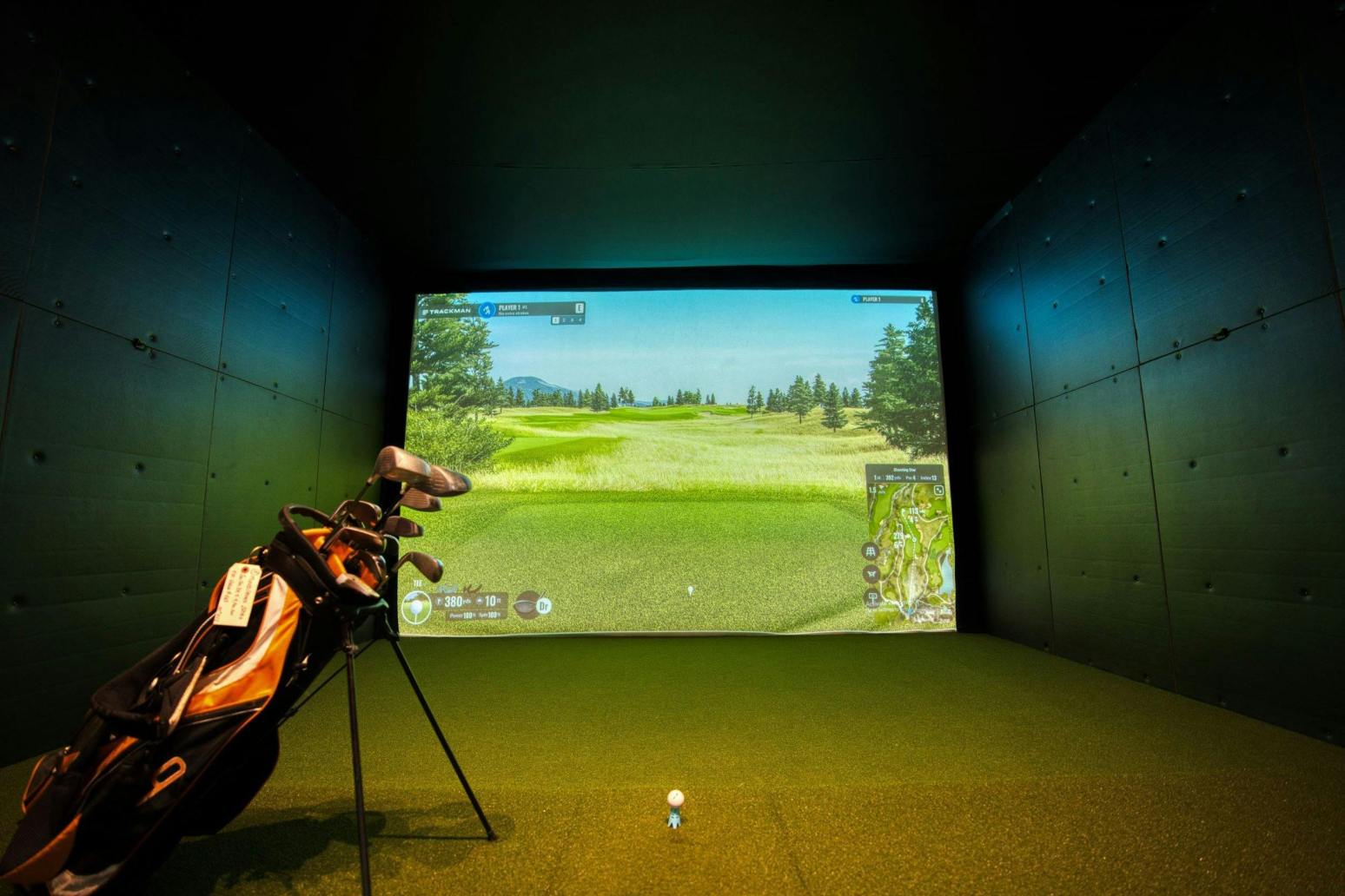 Video Rental Simulator Simulator Rental